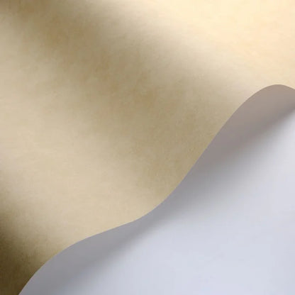 VALLAURIS Plain Wallpaper - Argile