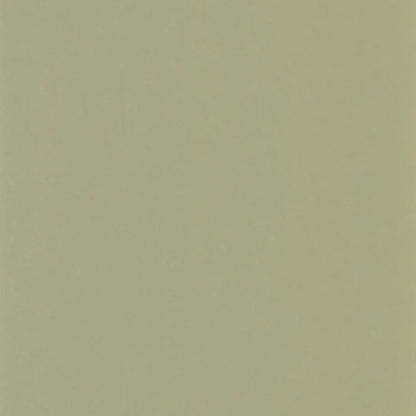 Pigments Wallpaper - Argile Verte