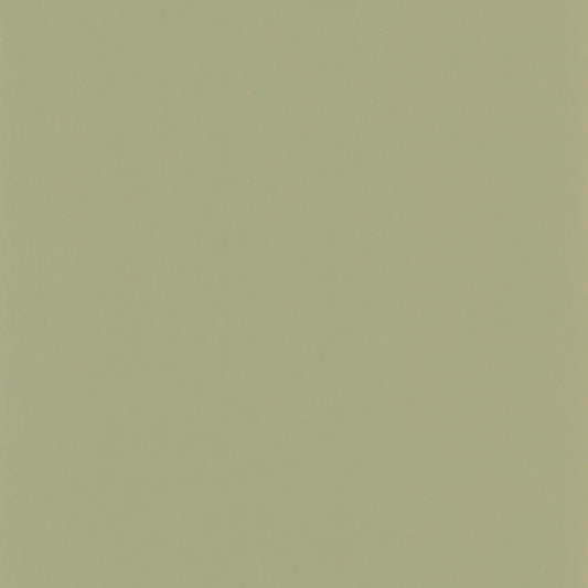 Pigments Wallpaper - Argile Verte