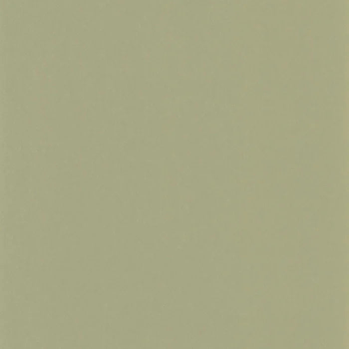 Pigments Wallpaper - Argile Verte
