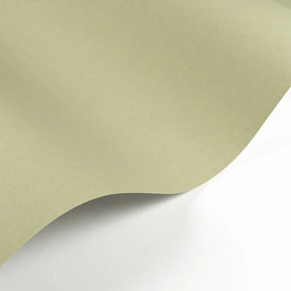 Pigments Wallpaper - Argile Verte