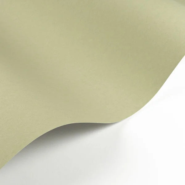 Sample - Pigments Wallpaper - Argile Verte
