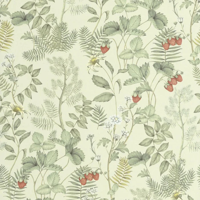 Sample - Strawberry Fields Wallpaper - Amande