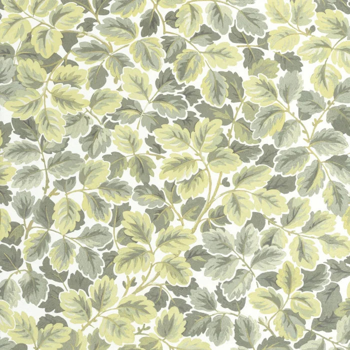 Regent's Park Wallpaper - Amande
