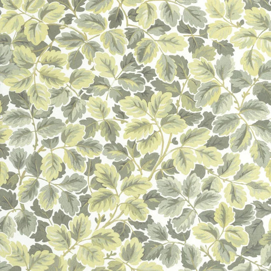 Regent's Park Wallpaper - Amande