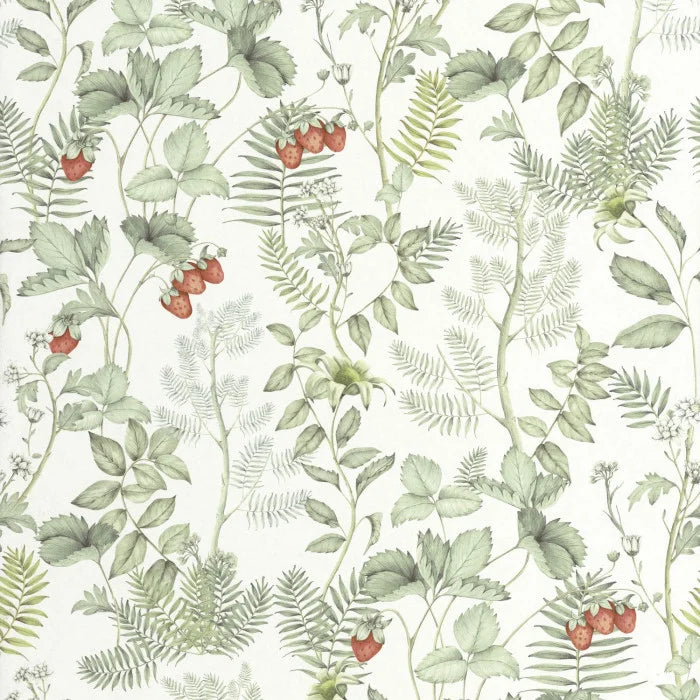 Sample - Strawberry Fields Wallpaper - Vert d'eau