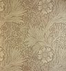 Marigold Wallpaper - Chocolate Cream