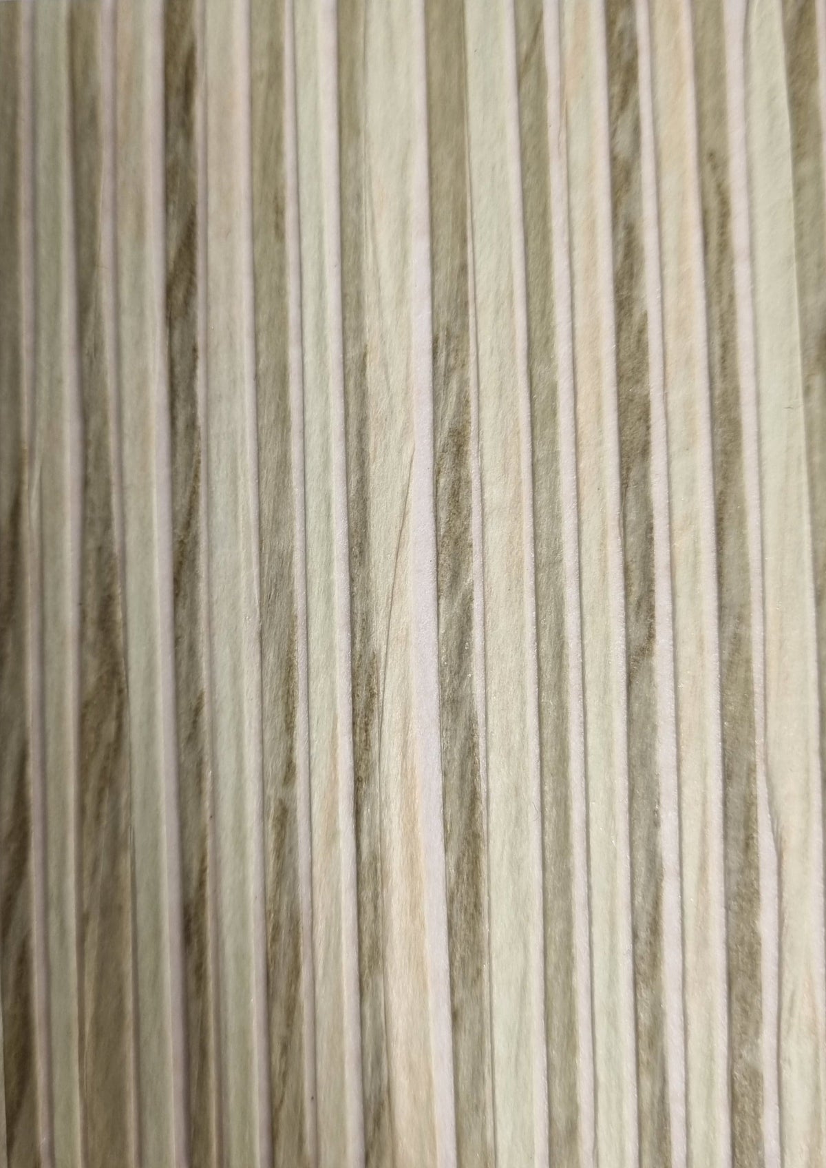 Zebra Paper Art Wallpaper - Lemongrass
