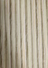 Zebra Paper Art Wallpaper - Lemongrass