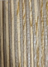 Zebra Paper Art Wallpaper - Beige/Sage