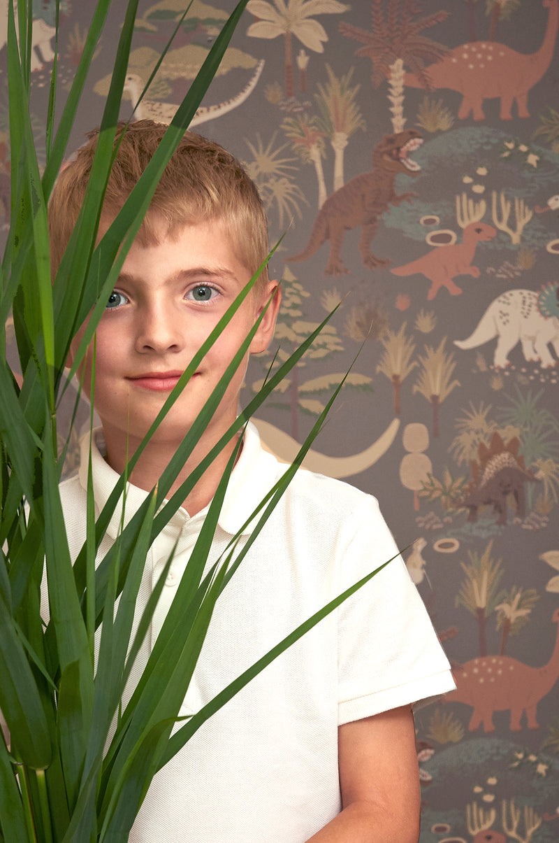 Dino Wallpaper - 3 Colours