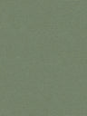 Retro Plain Chic Vinyl Wallpaper – Sage