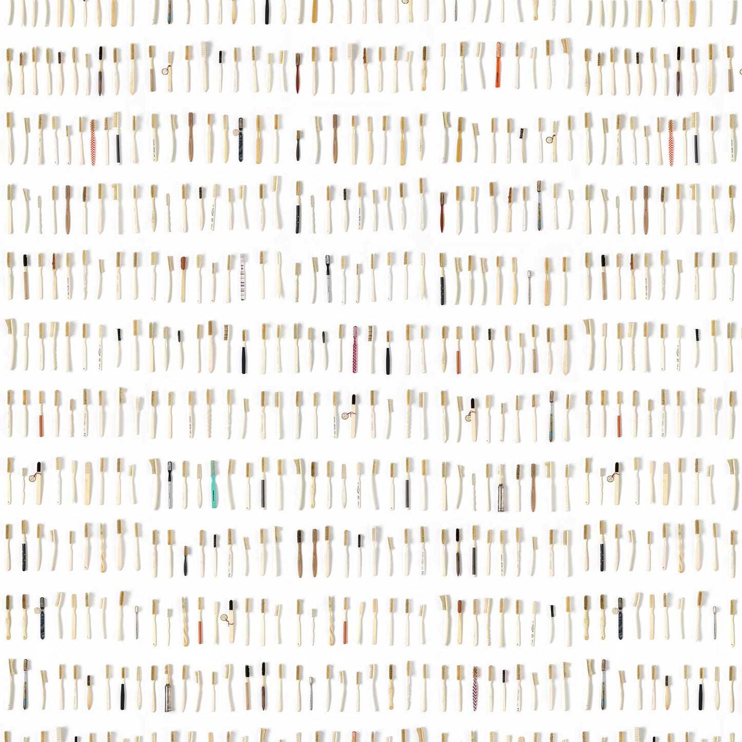 Obsession by Daniel Rozensztroch "Everyday Thing Series" Wallpaper - Tooth brush small