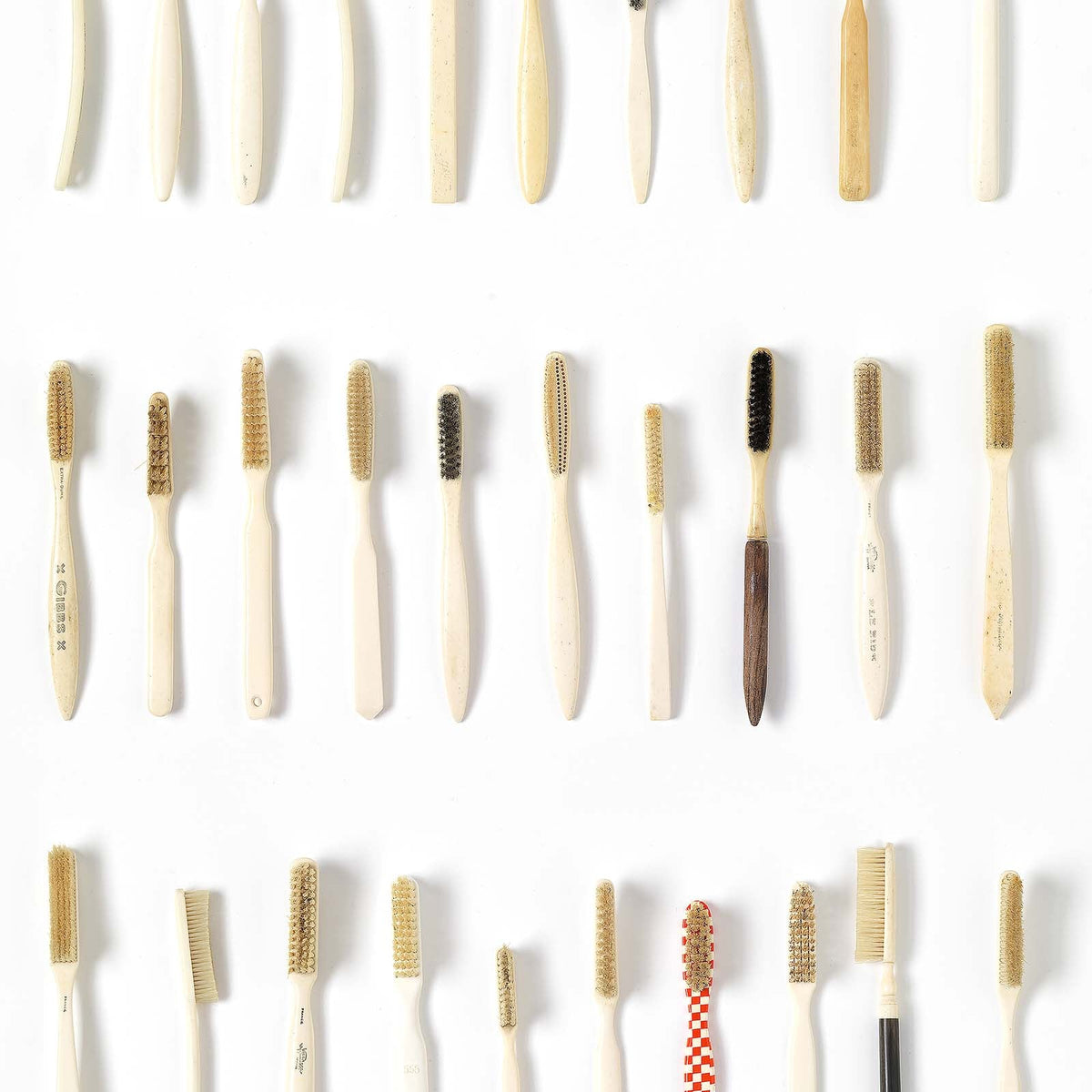 Obsession by Daniel Rozensztroch "Everyday Thing Series" Wallpaper - Tooth brush small