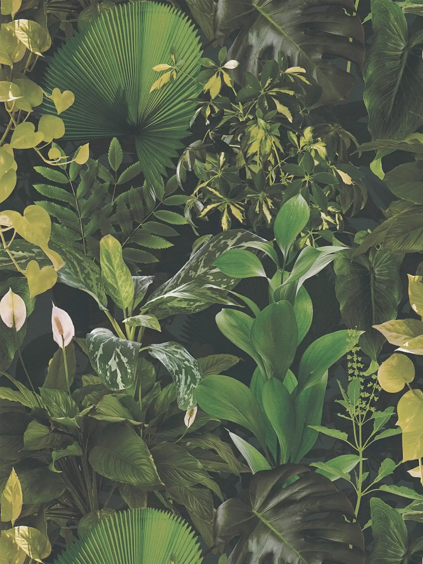 Sample - Palm and Peace Lilly