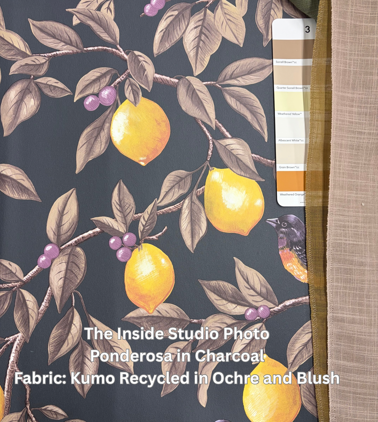 Ponderosa – Bird and Lemon Wallpaper – Charcoal
