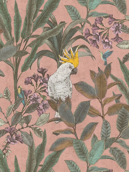 Cockatoo Jungle Wallpaper - Pink