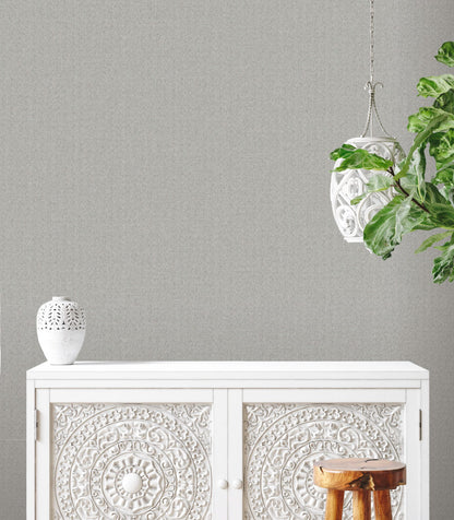Fiji Plain Texture - Soft Grey