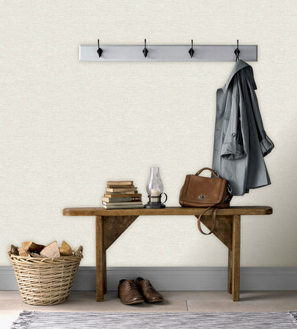 Fiji Plain Texture - Birch Almost Silver
