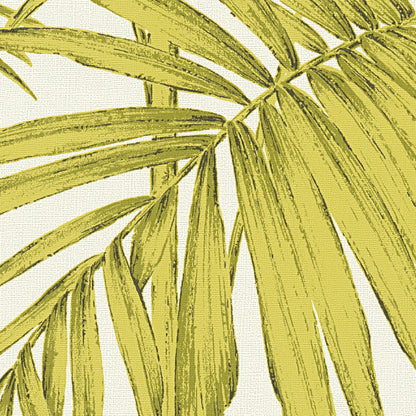 Lola Palm Wallpaper - Green - Discontinuing