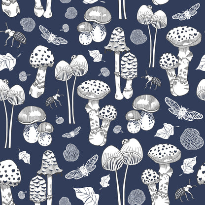 Fungi - NZ Wallpaper - Midnight