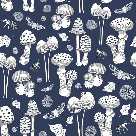 Fungi - NZ Wallpaper - Midnight