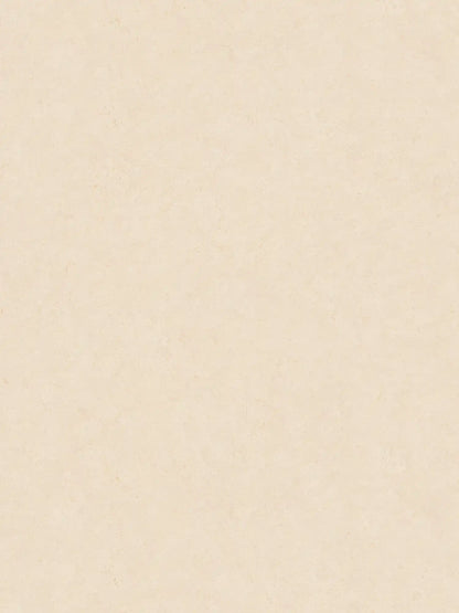 Barcelona Coordinates  - Beige/Creme
