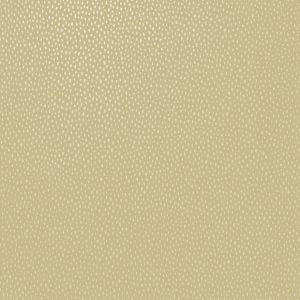 Pinto Spots Wallpaper - Ochre