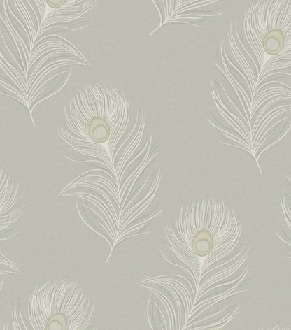 Pavona - Peacock Wallpaper - Sage