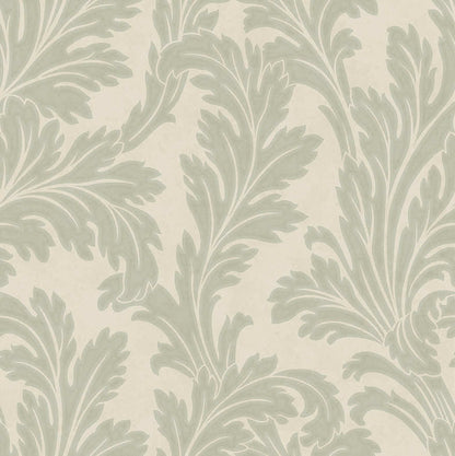 Acanthus Textured Wallpaper - Sage/Cream