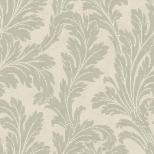 Acanthus Textured Wallpaper - Sage/Cream