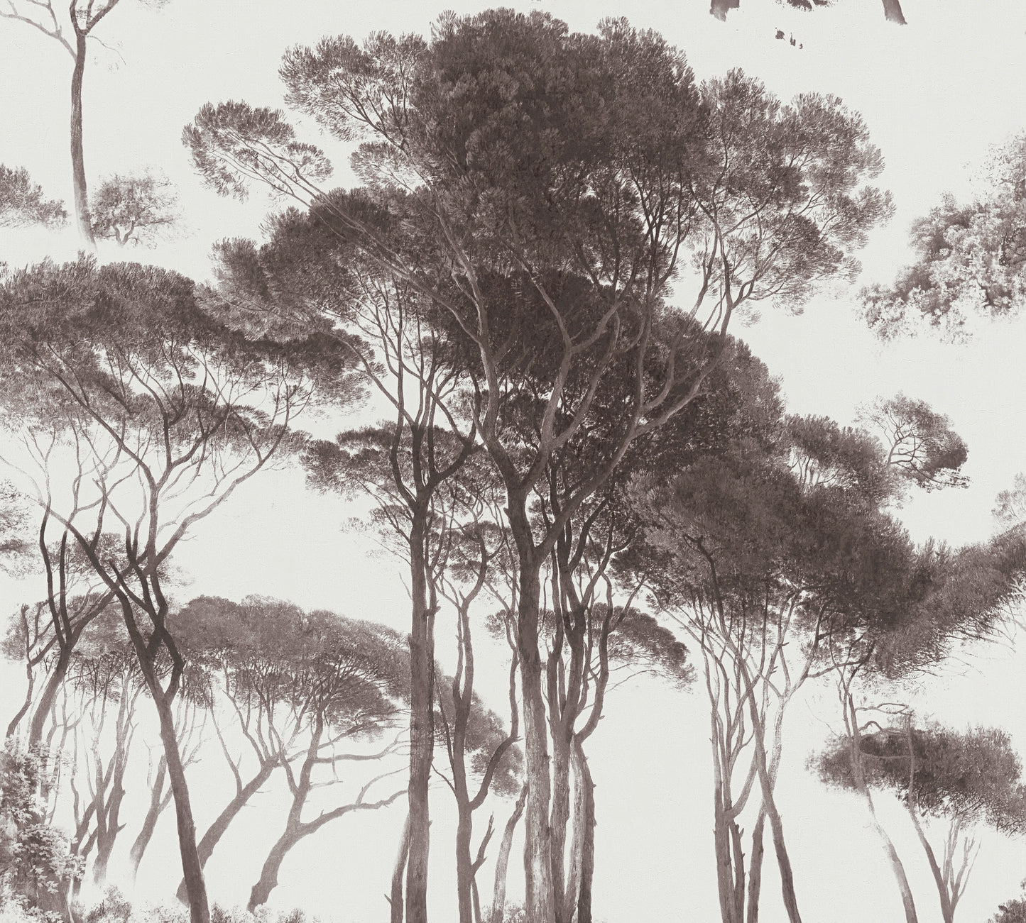 Tree Tops Wallpaper - Black/Brown - Last Roll