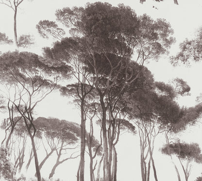 Tree Tops Wallpaper - Black/Brown - Last Roll