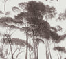 Tree Tops Wallpaper - Black/Brown - Last Roll