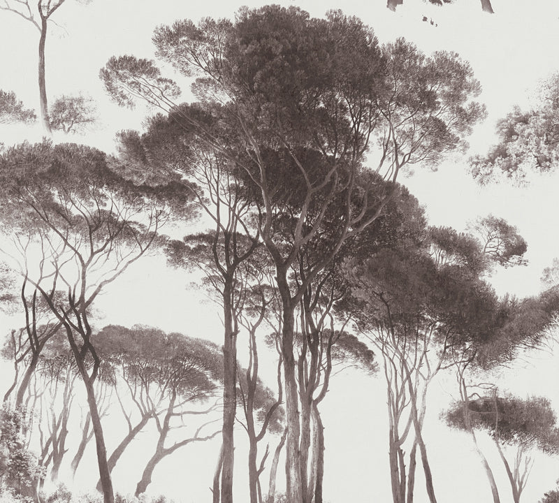 Tree Tops Wallpaper - Black/White