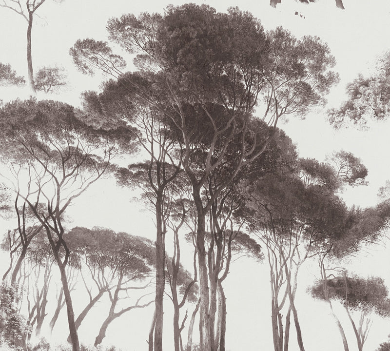 Sample - Tree Tops Wallpaper - Black/White