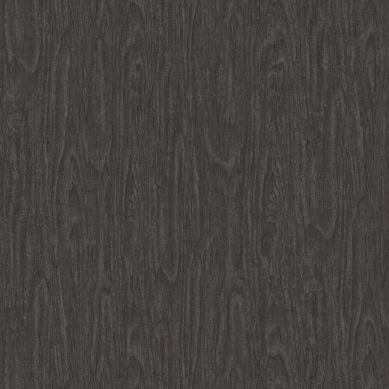 Sample - Versace Timber Wallpaper - Grey/Black