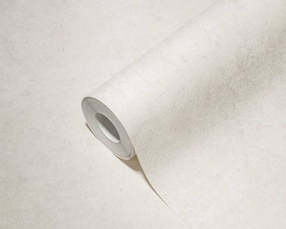 Distressed Plains Wallpaper (Metropolitan Stories 3 Collection) - Cream/Grey
