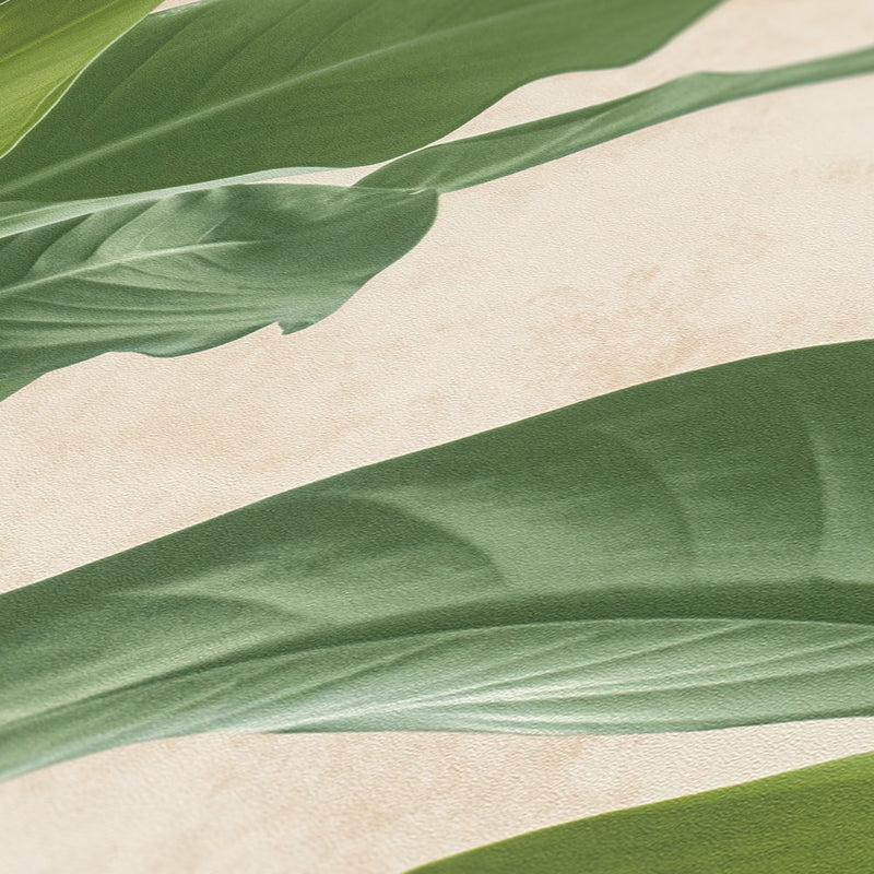 Banana Tropical - Cream + Green