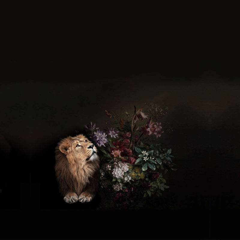 Garden King - Custom Sized Wallpaper Mural (per m2)
