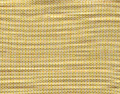 Abaca Natural Fibre Wallpaper - Soybean