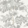 Raphael Wallpaper - Gray