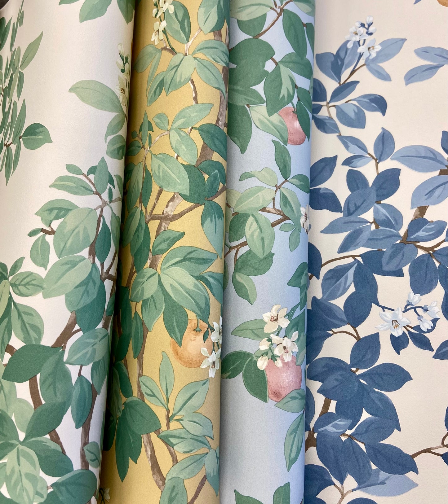 Orange Tree - Wallpaper - Cream Green