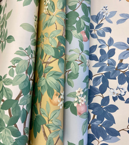 Orange Tree - Wallpaper - Cream Green