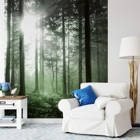 Sunrays Forest Mural Wallpaper