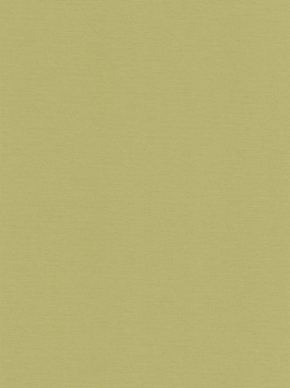 Retro Chic Plain Textured Vinyl Wallpaper – Lime