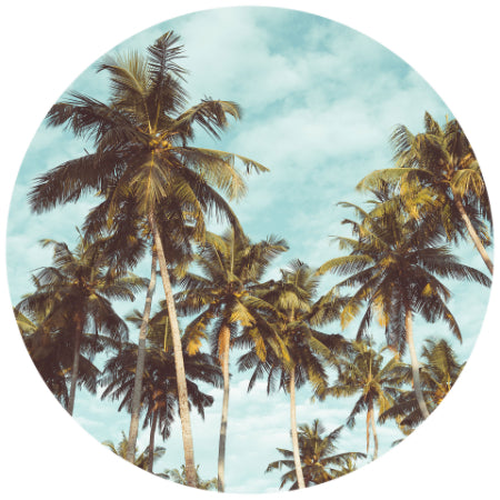 LA Palm Trees Mural - 2 Sizes