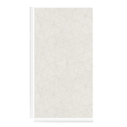 Linear Web - Geometric Wallpaper - White