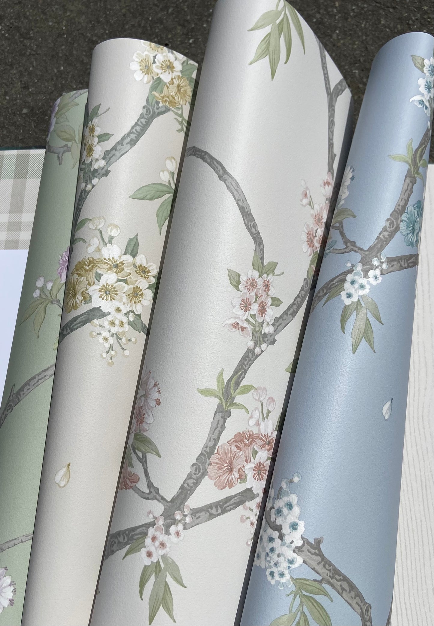 Cherry Blossom - Wallpaper - Yellow Cream