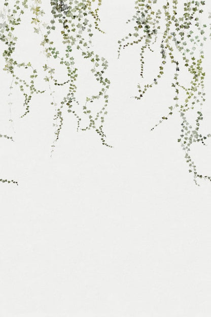 Aralia - Sandberg -  Custom Sized Wallpaper Mural (per m2) -Moss Green